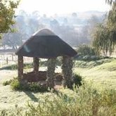 Gunner's early morning views